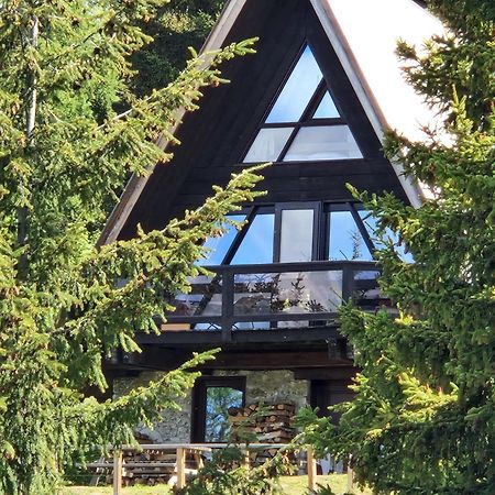 Le Chalet Pointu De Capucine Bourg-Saint-Maurice Kültér fotó